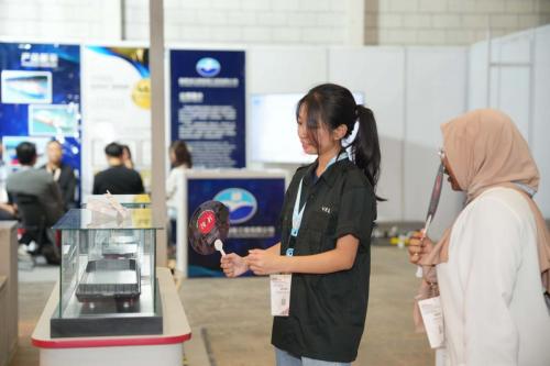 Exhibition 2025